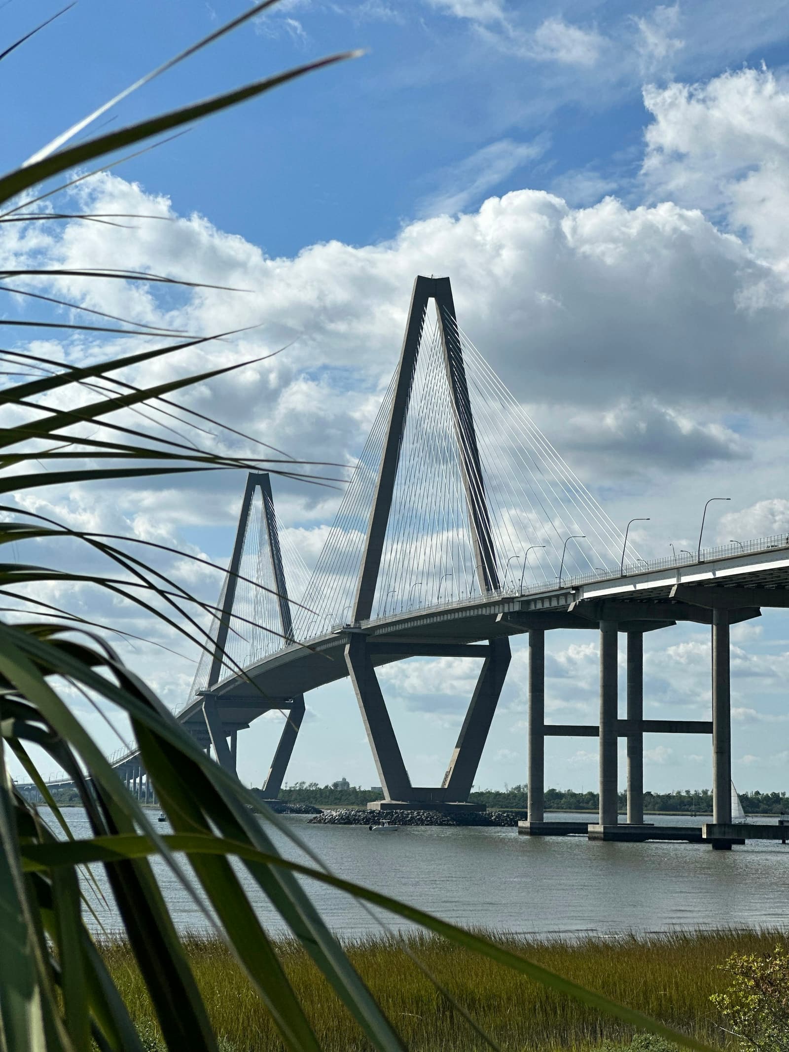 The Arthur Ravenel Jr. Bridge over the Cooper River in Charleston, seen past marsh grass